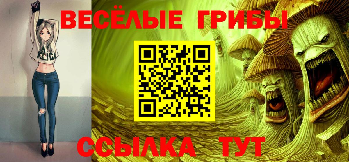 Гурьевск  Псилоцибиновые грибы Cubensis  Вход с VPN 